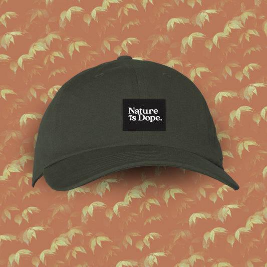 NiD Dad Hat